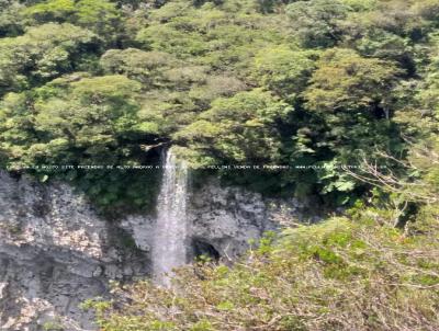 Fazenda para Venda, em Cambar do Sul, bairro 252 Hectares