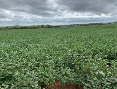 Fazenda para Venda, em Rosrio do Sul, bairro RS