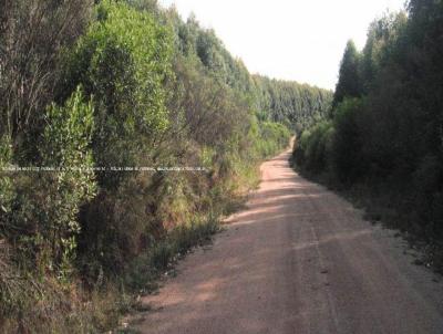 Fazenda para Venda, em Encruzilhada do Sul, bairro RS