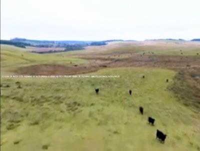 Fazenda para Venda, em Capela de Santana, bairro RS