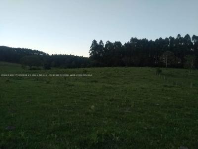 Fazenda para Venda, em Taquara, bairro RS