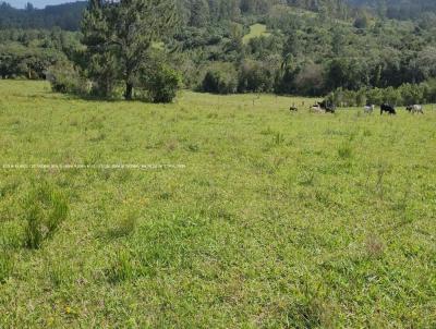 Fazenda para Venda, em Viamo, bairro RS