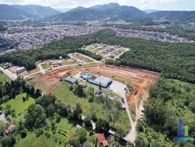 Terreno Residencial para Venda, em So Jos, bairro Forquilhinhas