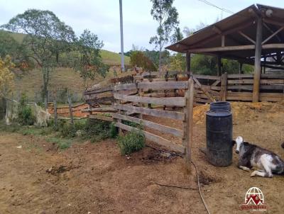 Terreno para Venda, em Cachoeira Paulista, bairro 