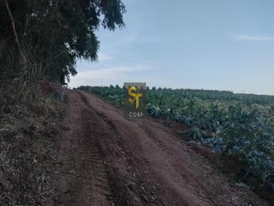 Terreno para Venda, em Jarinu, bairro Pinhal