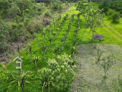 Chcara para Venda, em , bairro Regio Pombal, 3 dormitrios, 3 banheiros, 2 sutes, 1 vaga