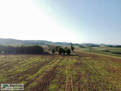 Fazenda para Venda, em Rosrio do Sul, bairro Rural