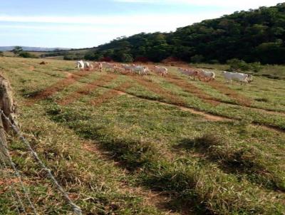 Fazenda para Venda, em Monte Sio, bairro Centro