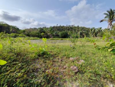 Fazenda para Venda, em Coroat, bairro Zona Rural