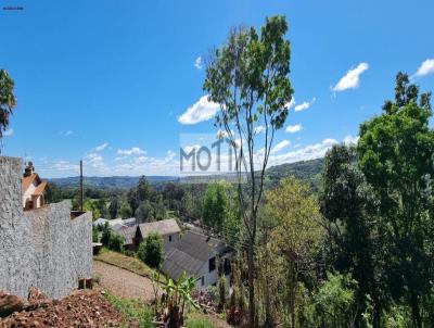 Terreno para Venda, em , bairro Sao Caetano