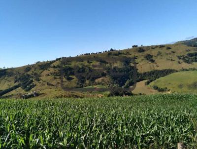 Stio para Venda, em Marquinho, bairro 