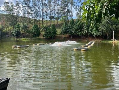 Chcara para Venda, em Muria, bairro Macuco