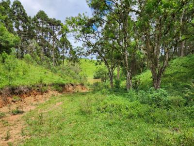 Chcara para Venda, em Bocaiva do Sul, bairro gua Verde