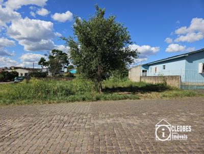 Terreno para Venda, em Encruzilhada do Sul, bairro Vila Xavier