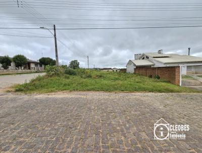 Terreno para Venda, em Encruzilhada do Sul, bairro Vila Xavier