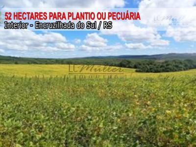 Fazenda para Venda, em Encruzilhada do Sul, bairro Interior