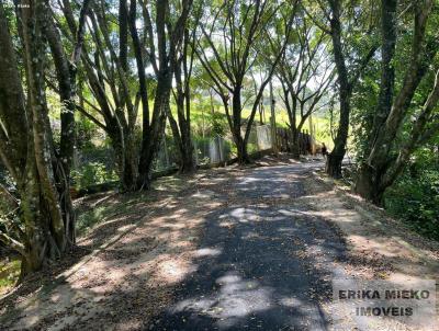 Terreno para Venda, em Atibaia, bairro Bairro da Usina