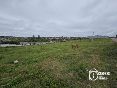 Terreno para Venda, em Encruzilhada do Sul, bairro Vila Xavier