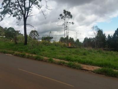 rea para Venda, em Ponta Grossa, bairro Jardim Centenrio