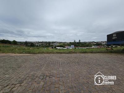 Terreno para Venda, em Encruzilhada do Sul, bairro Vila Xavier