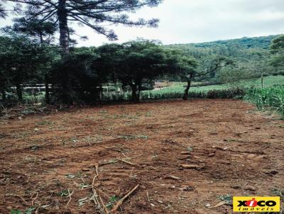 Terreno para Venda, em Picada Caf, bairro Joaneta