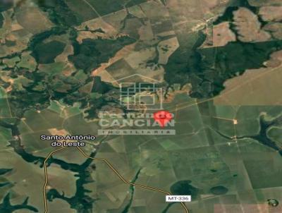 rea Rural para Venda, em Santo Antnio do Leste, bairro Interior