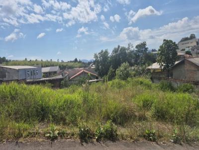 Terreno para Venda, em Campina Grande do Sul, bairro Santa Rosa