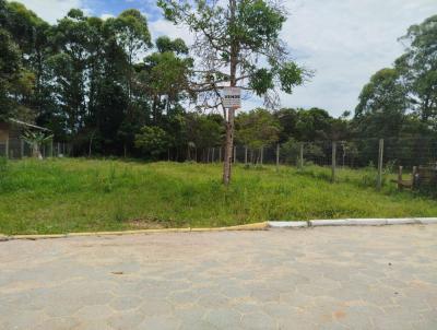 Terreno para Venda, em Garopaba, bairro Grama