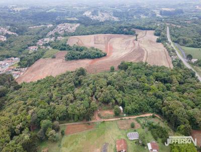 Terreno Industrial para Locao, em Campo Largo, bairro Ratada