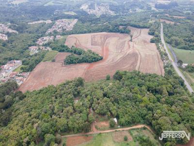 Terreno Industrial para Locao, em Campo Largo, bairro Ratada