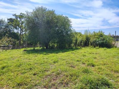 Terreno para Venda, em Suzano, bairro Jardim Nova Ipelndia