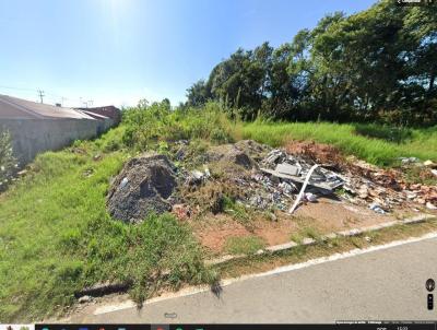 Terreno para Venda, em Araucria, bairro Campina da Barra