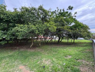 Terreno para Venda, em So Jos, bairro Areias