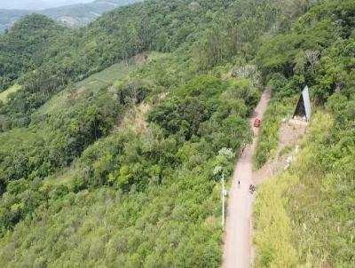 Terreno Rural para Venda, em Cara, bairro Morro da Laje