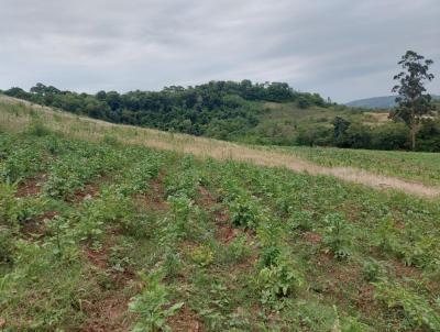 rea Rural para Venda, em So Paulo das Misses, bairro ZONA RURAL