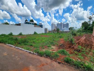 Terreno para Venda, em Jata, bairro Setor Granjeiro