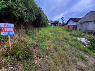 Terreno para Venda, em Guaramirim, bairro Beira Rio