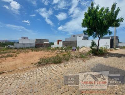 Terreno para Venda, em Patos, bairro Novo Horizonte