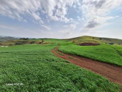 Fazenda para Venda, em Laranjal, bairro PALMITAL