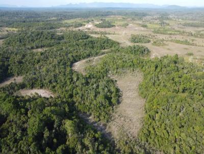 Fazenda para Venda, em Caracara, bairro Rural