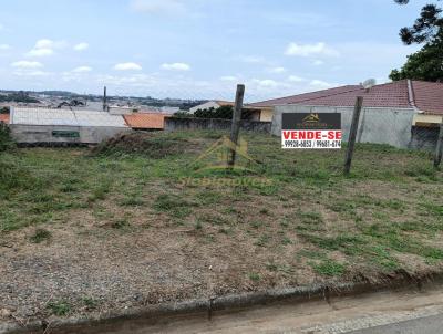 Terreno para Venda, em Araucria, bairro Thomaz Coelho