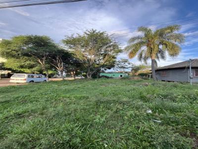 Terreno para Venda, em Uruguaiana, bairro Santo Antnio