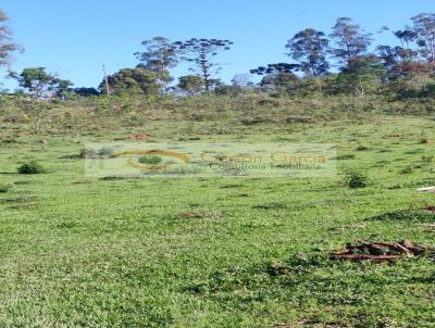 Fazenda para Venda, em Desterro de Entre Rios, bairro CENTRO