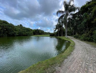 Terreno para Venda, em Florianpolis, bairro Ingleses do Rio Vermelho