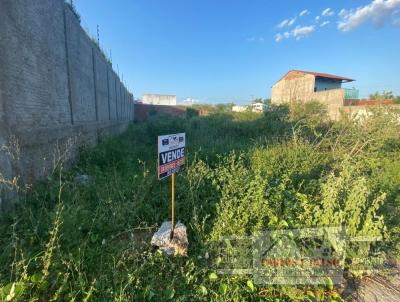 Terreno para Venda, em Patos, bairro Novo Horizonte