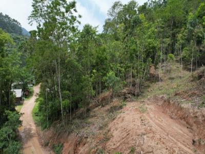 rea Rural para Venda, em Paulo Lopes, bairro penha