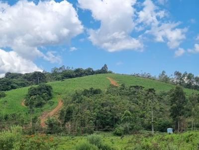 Fazenda para Venda, em Munhoz, bairro 091