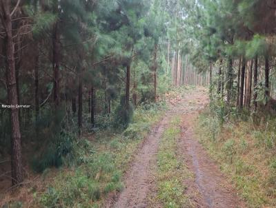 Chcara para Venda, em Agudos do Sul, bairro AREIAS