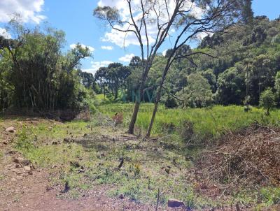 Chcara para Venda, em Caxias do Sul, bairro Vila Seca