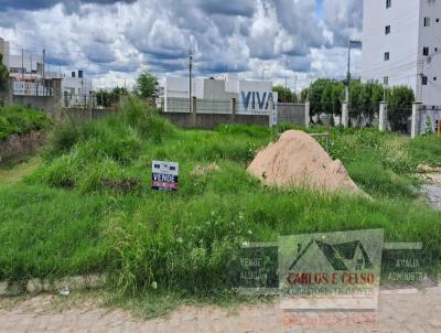 Terreno para Venda, em Patos, bairro Salgadinho